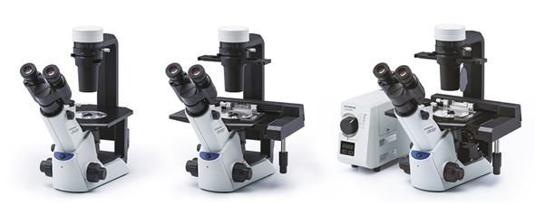 New Olympus CKX53 Family for Brightfield, IPC and Fluorescence