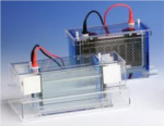 TWC-202-20 Dual Double-Wide Mini-Vertical Electrophoresis System