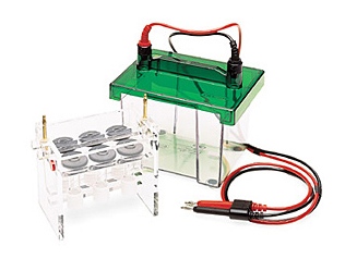 Model 422 Electro-Eluter from Bio-Rad