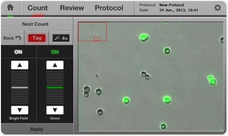 A result screen of a typical GFP transfection assay.