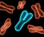Researchers uncover a previously unknown mechanism behind chromosome end protection