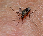 Single-dose malaria treatment using four drugs achieves high cure rates in clinical trial