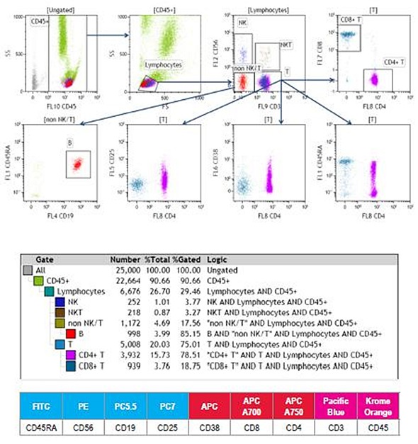 9-color human whole blood immunophenotyping staining.