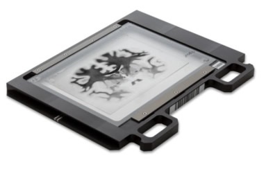 A brain specimen on a 5 x 7” slide in Huron’s whole-mount slideholder.