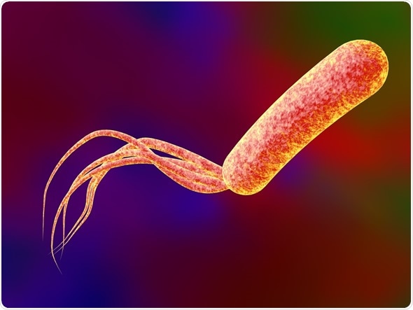 Digital illustration of bacteria Pseudomonas aeruginosa, model of bacteria, realistic illustration of microbes - Image Copyright: Kateryna Kon / Shutterstock