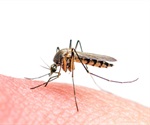 AI-based tool aims to improve mosquito identification for disease control