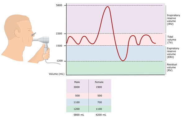 Spirometry: testing the pulmonary capacity volumes