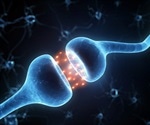 Study links impaired synaptic pruning to autism