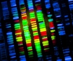 Researchers release new high-quality collection of reference human genome sequences