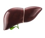 New insights into long-term liver injury after Kasai portoenterostomy for biliary atresia