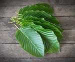 FDA issues warning against use of herbal medicine Kratom