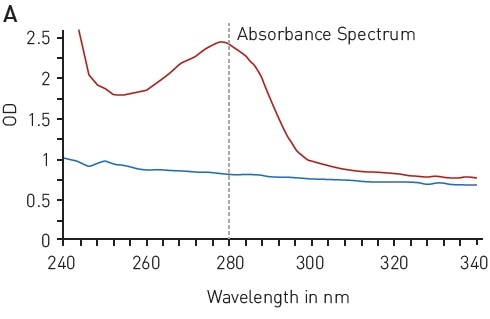 Total protein quantitation by absorbance at 280 nm (A280) A) absorbance spectrum of water (blue) and BSA (2 mg/ml in ddH2O, red) B) Protein standard curve of BSA.