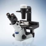CKX53 Inverted Microscope from Evident Corporation