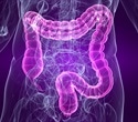 Study: Not all dietary proteins are digested equally in the gut