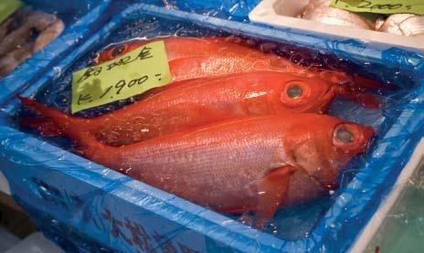 Mercury from the water accumulates in the tissue of fish and crustaceans. A diet rich in fish can therefore lead to increased exposure to mercury.