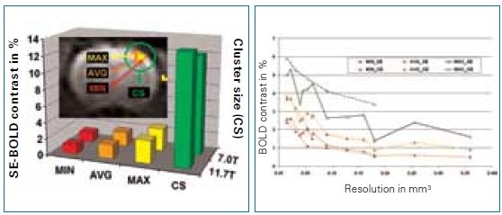 Comparison of BOLD activation (size and magnitude) for understanding the field dependence of the BOLD effect at 7.0 and 11.7 Tesla with a resolution of 400 x 400 x 2000 μm3