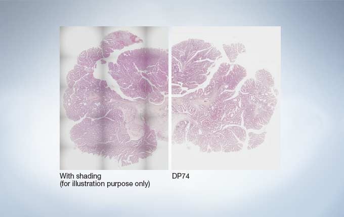 Seamless Stitching with Even Illumination Across the Image