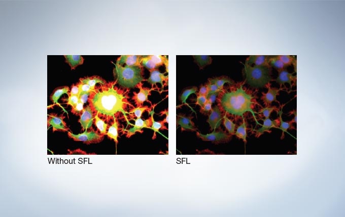 Super Fluorescence (SFL) Mode Optimizes for Correct Exposure