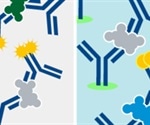 Choosing the Right Antibody for an Application: Step by Step