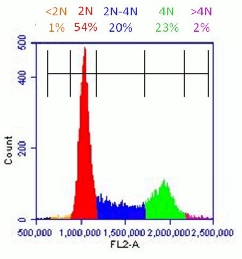 Healthy population of HeLa cells analyzed with Propidium Iodide Flow Cytometry Kit (ab139418):  Flow cytometer software was used to establish markers on a histogram plot to quantify the percentage of cells with <2N (dead cells), 2N (G1 phase), 2N-4N (S-phase), 4N (G2 phase) and >4N (M phase) content.