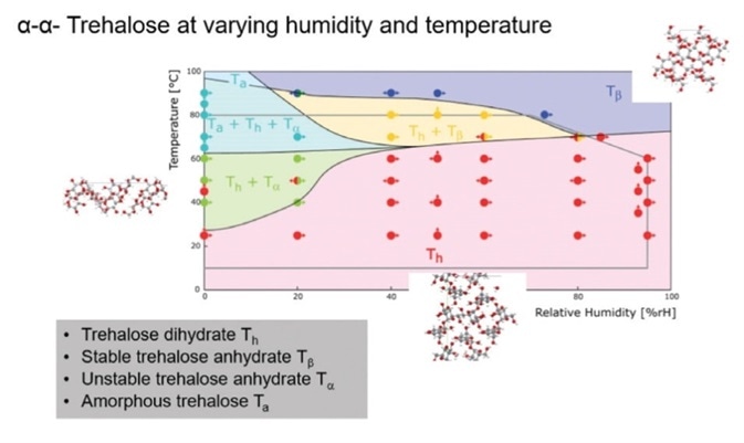 RH-T phase diagram for trehalose.