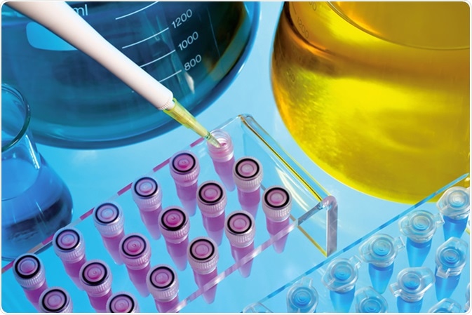 Image Credit: Angellodeco / Shutterstock