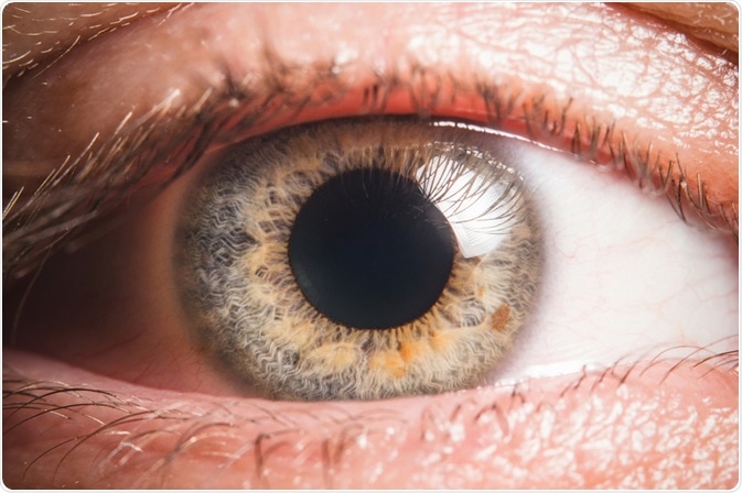 Patient with healthy eye - By photoJS