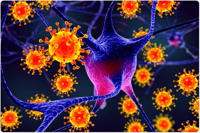 Viruses infecting neurons, concept for brain infection, 3D illustration. Image Credit: Kateryna Kon / Shutterstock