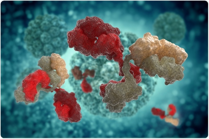 vitstudio - antibodies