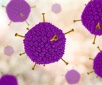 Investigational smallpox drug may treat adenovirus infections in humans