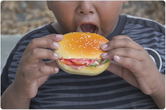 Image Credit: Kayasit Sonsupap / Shutterstock