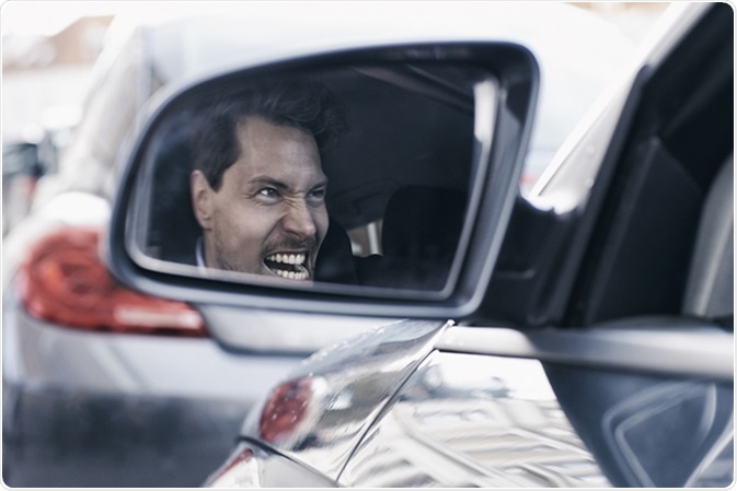 Image Credit: Sanneberg / Shutterstock