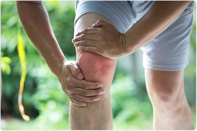 Image Credit: Poylock19 / Shutterstock