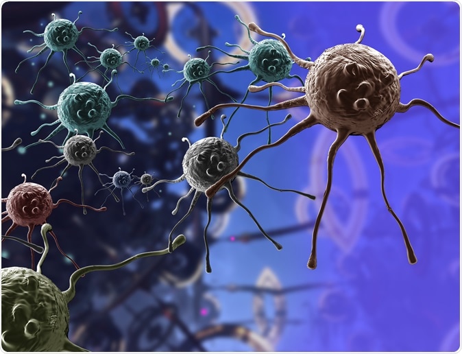 Cancer cells. Image Credit: Jovan Vitanovski