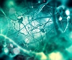 Mayo Clinic study reveals brain cell deficit behind Tourette syndrome