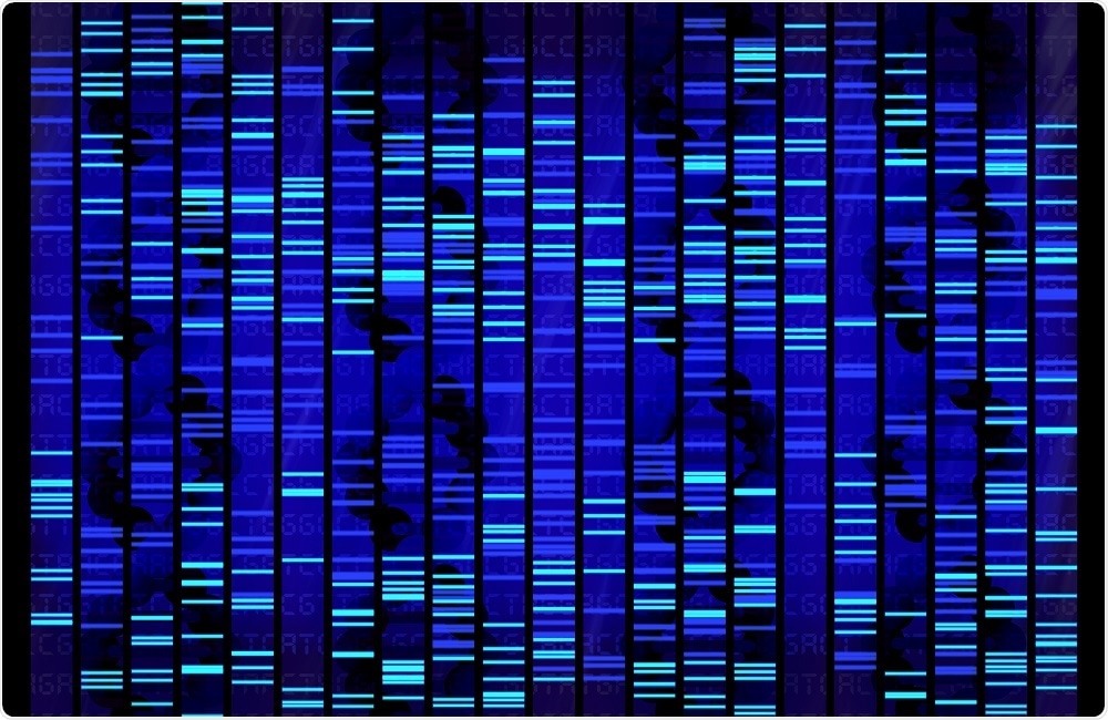 Researchers identify genes associated with aggressive behavior