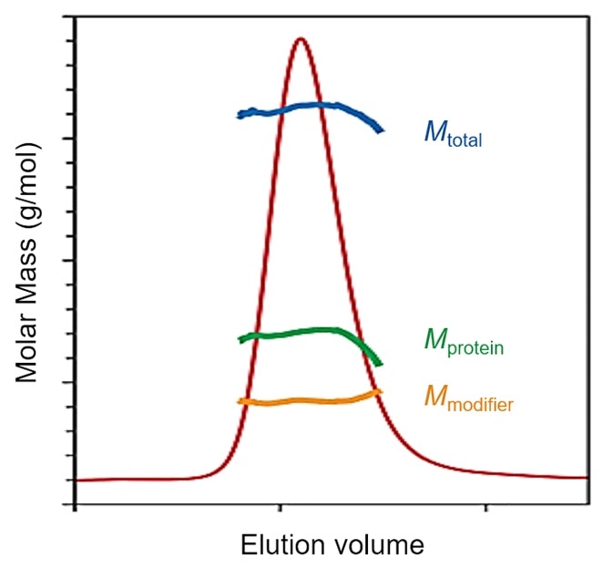 SEC-MALS determination of glycosylation or membrane protein loading of lipids