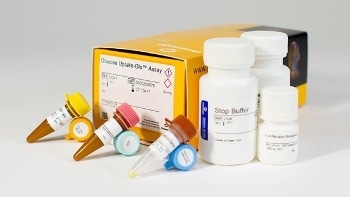 Glucose Uptake-Glo™ Assay from Promega Corporation