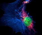 Super-Resolution Fluorescence Microscopy
