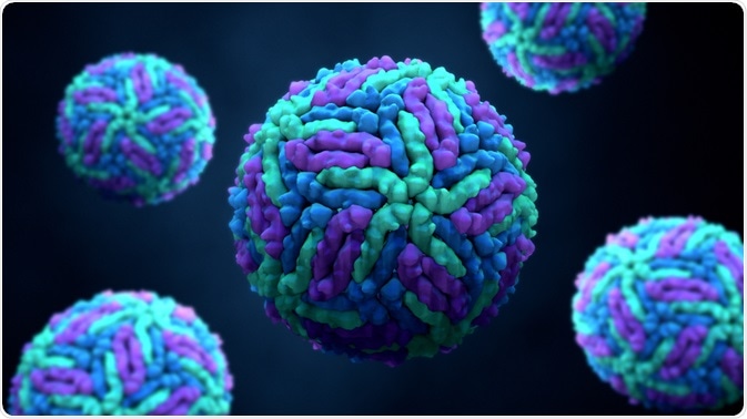 Cells for analysis using western blotting - By Design_Cells
