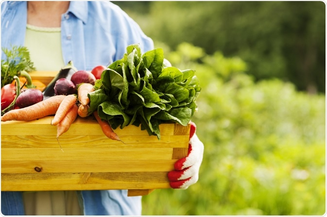 Photo of woman carrying large box of organic vegetables - By gpointstudio