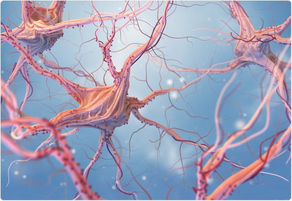 Illustration of nerve cells in the brain - neurotransmitters