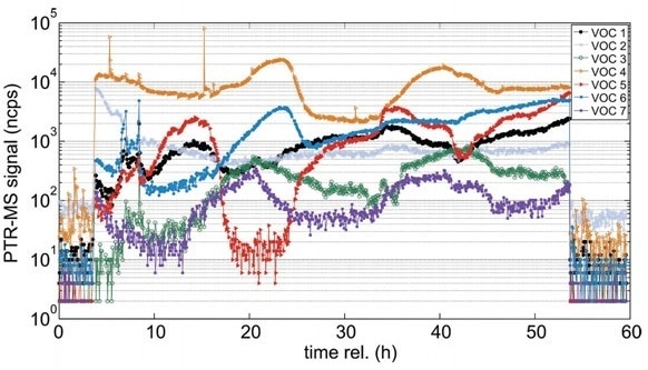 Typical signals for bioprocess monitoring with PTR-MS. Seven out of 70 volatile metabolites (VOCs) exemplify the distinct variations observed over the course of a fermentation (from Singer et al. Am. Lab. 2011).