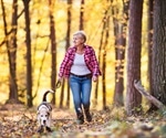 Dog owners live longer