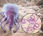 Lyme vaccine on the horizon, says new study