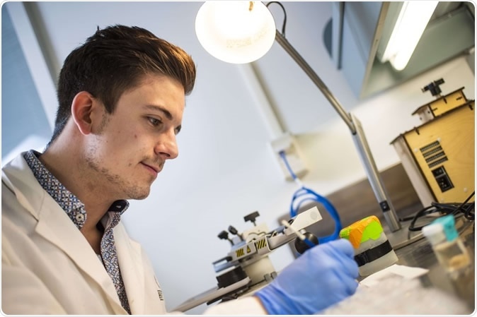 The nucleus reuniens may be responsible for coordinating activity between the prefrontal cortex and hippocampus, study shows