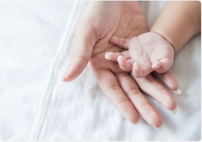 Image Credit: Paulaphoto / Shutterstock