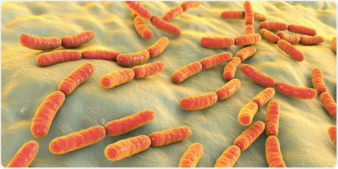 Bacteria Lactobacillus, 3D illustration. Image Credit: Kateryna Kon/ Shutterstock
