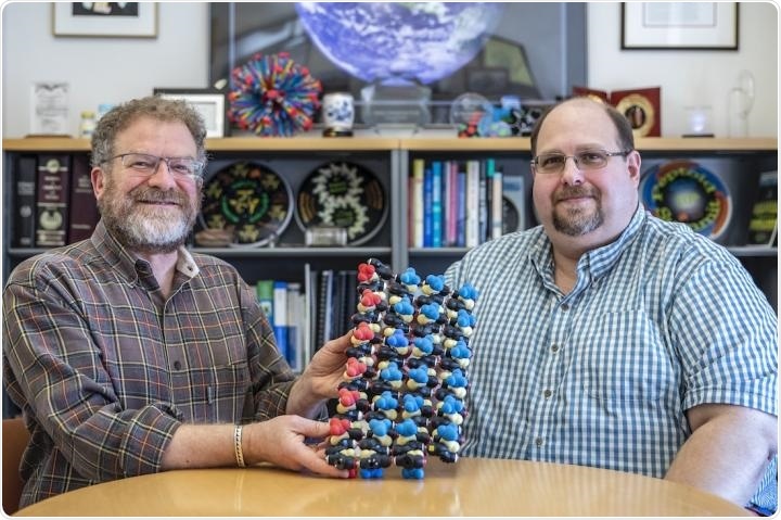 Ronald Zuckermann (left) and Michael Connolly hold a model of a protein in a beta sheet arrangement.