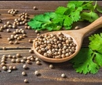 The Health Benefits of Cilantro (Coriander)